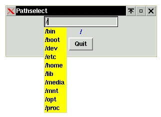 Figure 4. The PathEntry widget